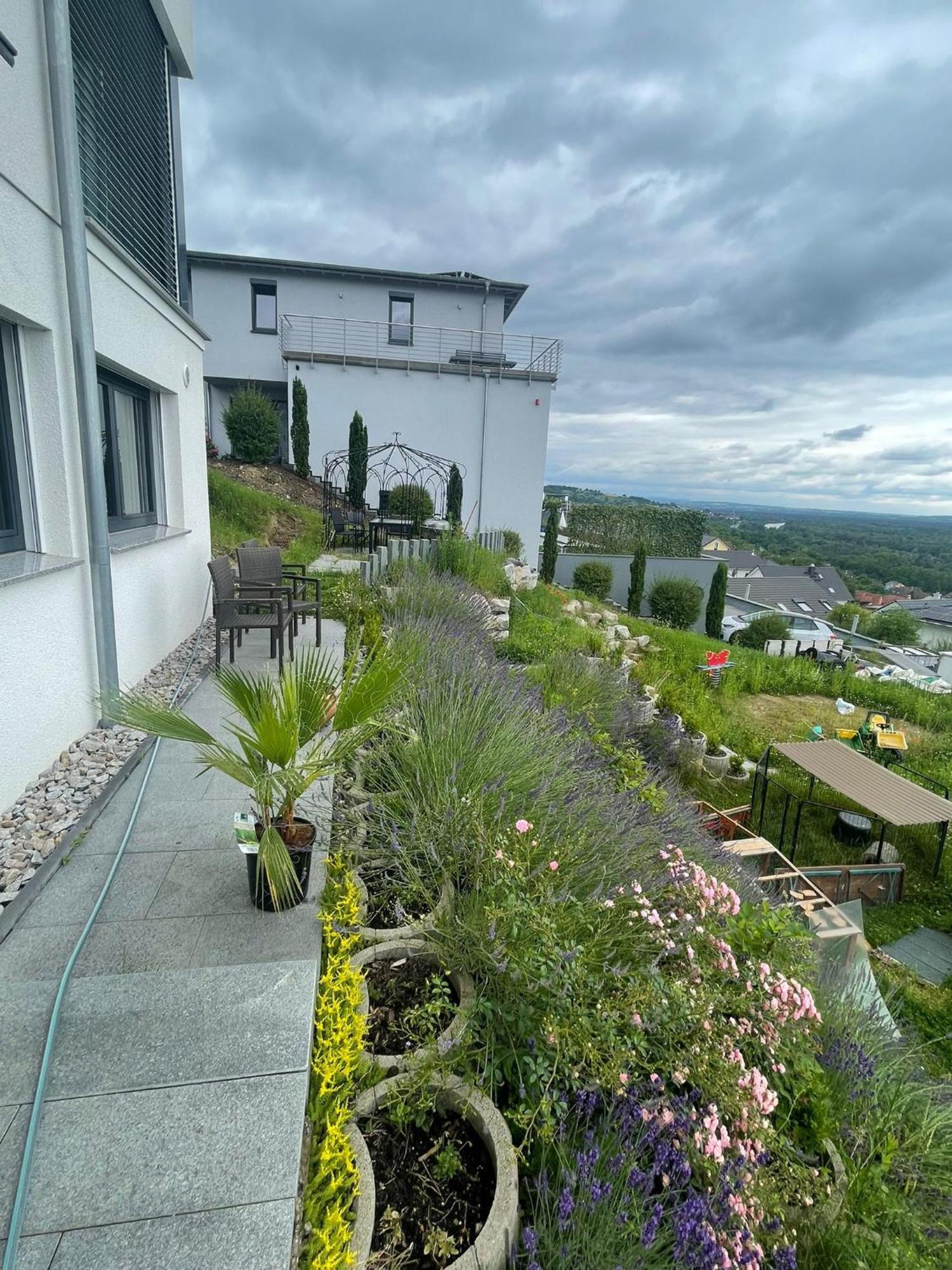 Vogesenblick Apartment Bad Bellingen Exterior photo
