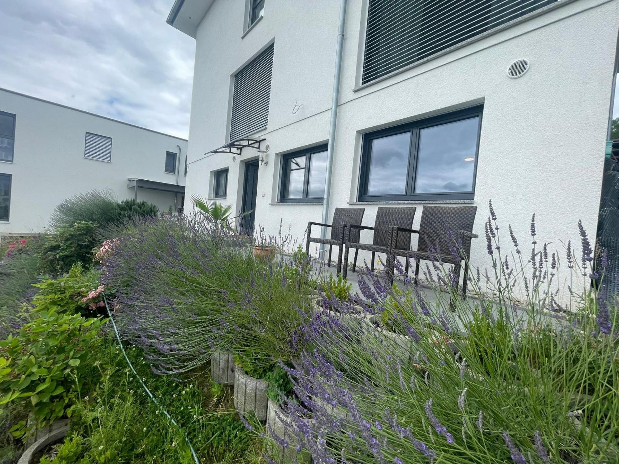 Vogesenblick Apartment Bad Bellingen Exterior photo